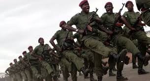 RDC :   FARDC condamne les mauvais actes affichés par les deux chinois