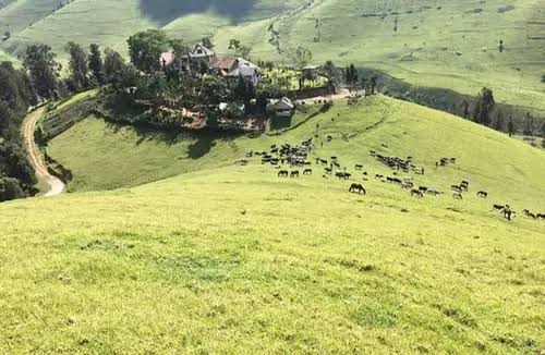 Situation sécuritaire à l’Est : le M-23 prend la possession de la localité de Mushaki