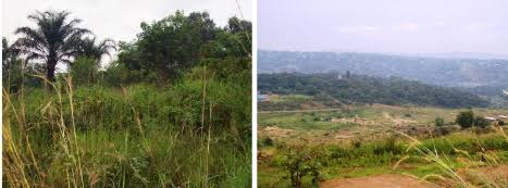 Insécurité à Kinshasa : à Mont Ngafula, la population inquiète sur la recrudescence du phénomène Kuluna 