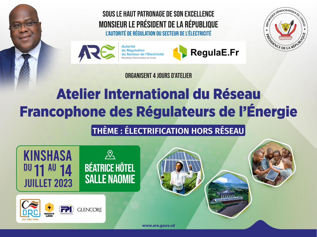 RDC – Énergie : l’atelier International du Réseau Francophone des Régulateurs d’Energie se tient à Kinshasa