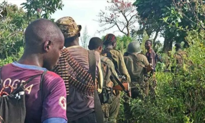 Beni: L’armée loyaliste repousse une attaque des Maï-maï à Mamove