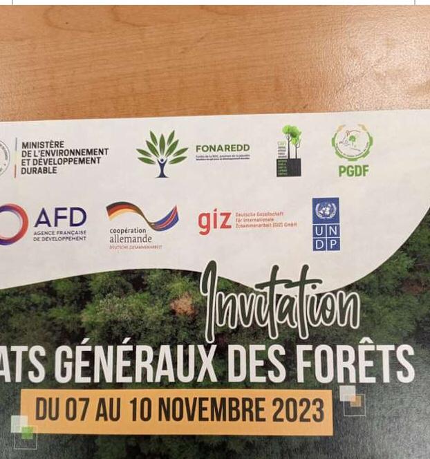 Environnement : Bientôt l’organisation des États Généraux des forêts en RDC