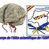 RDC : La passation des marchés publics au centre d’une matinée du Corps d’Elite Scientifique de l’UDPS 