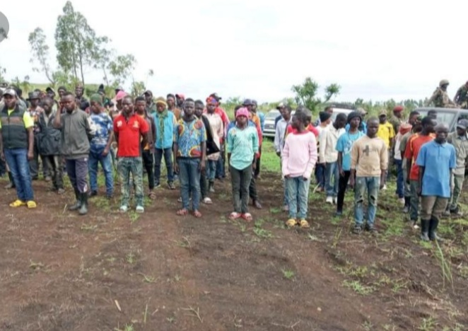 Beni : Réinsertion d’au moins 150 ex-combattants par le PDDRC-S