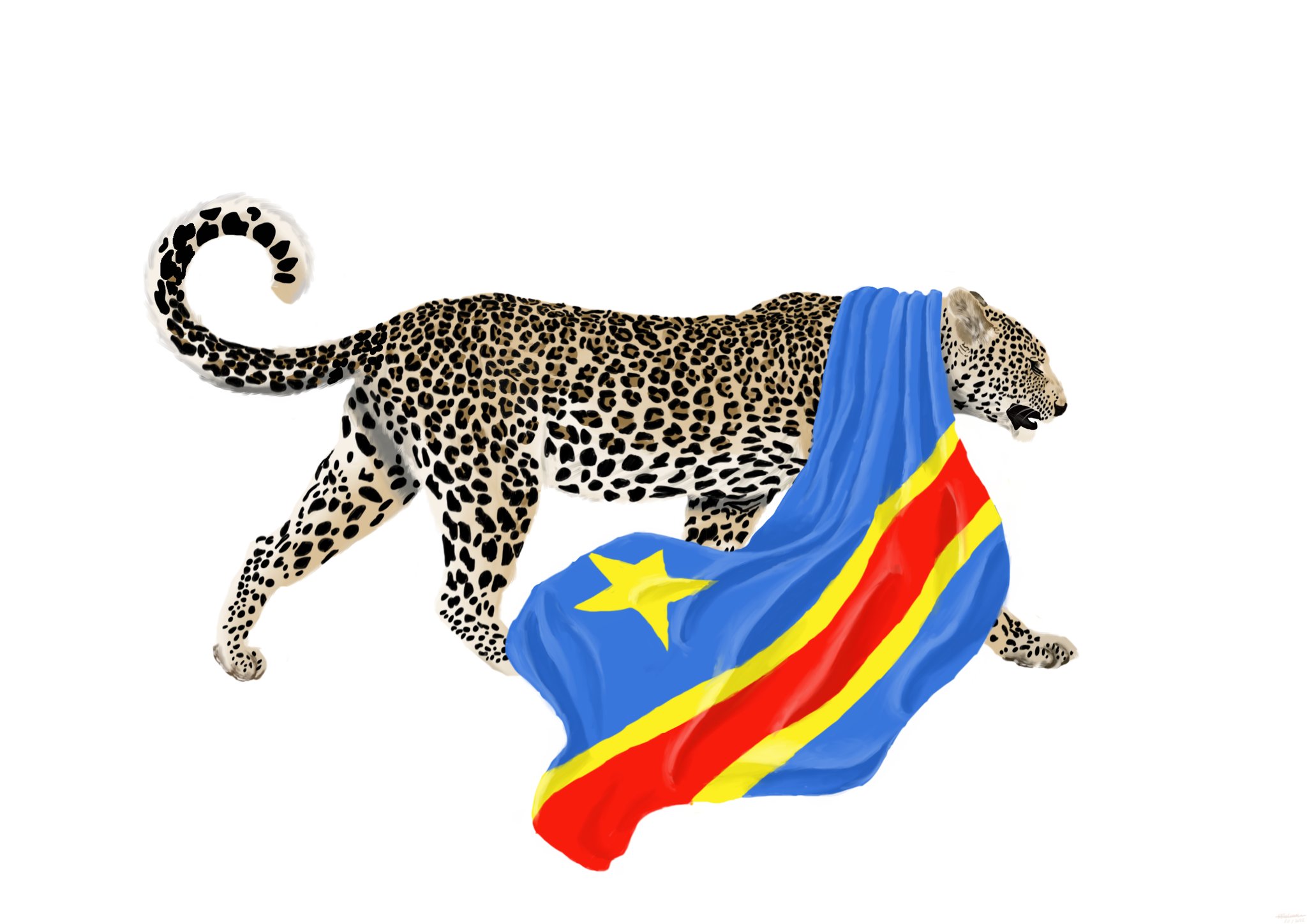 RDC : Bâtir un Congo souverain, puissant et prospère telle est la voie tracée par la Philosophie Léopards