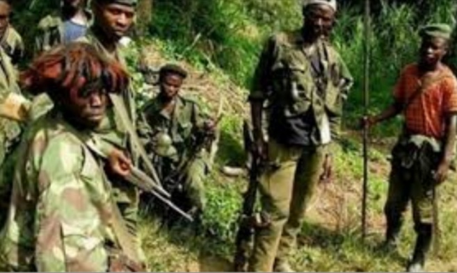 Ituri : Des hommes assimilés aux ADF sont signalés à Mapili, alerte de la société civile 