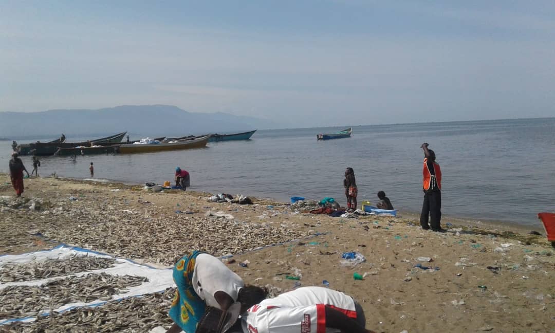 Ituri: Contradiction sur les vrais auteurs des coups de balles qui ont retenti la nuit à Tchomia 