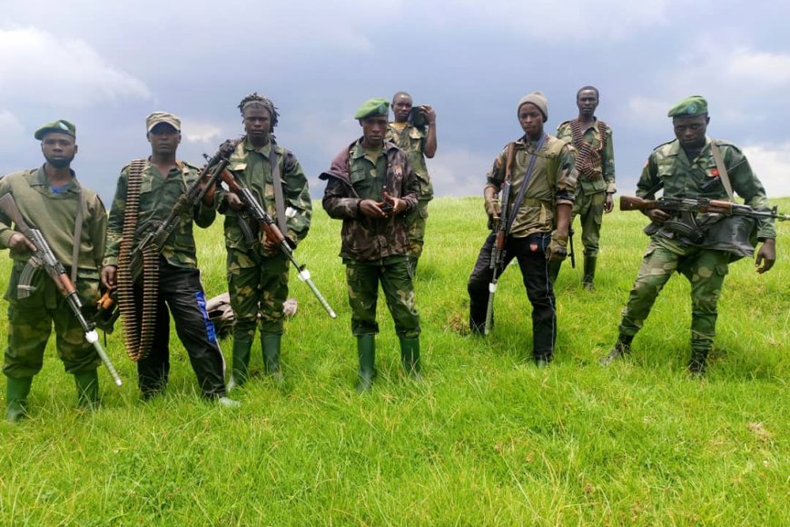 Sécurité : Les FARDC accusent les rebelles du M23 d’avoir violé le cessez-le-feu