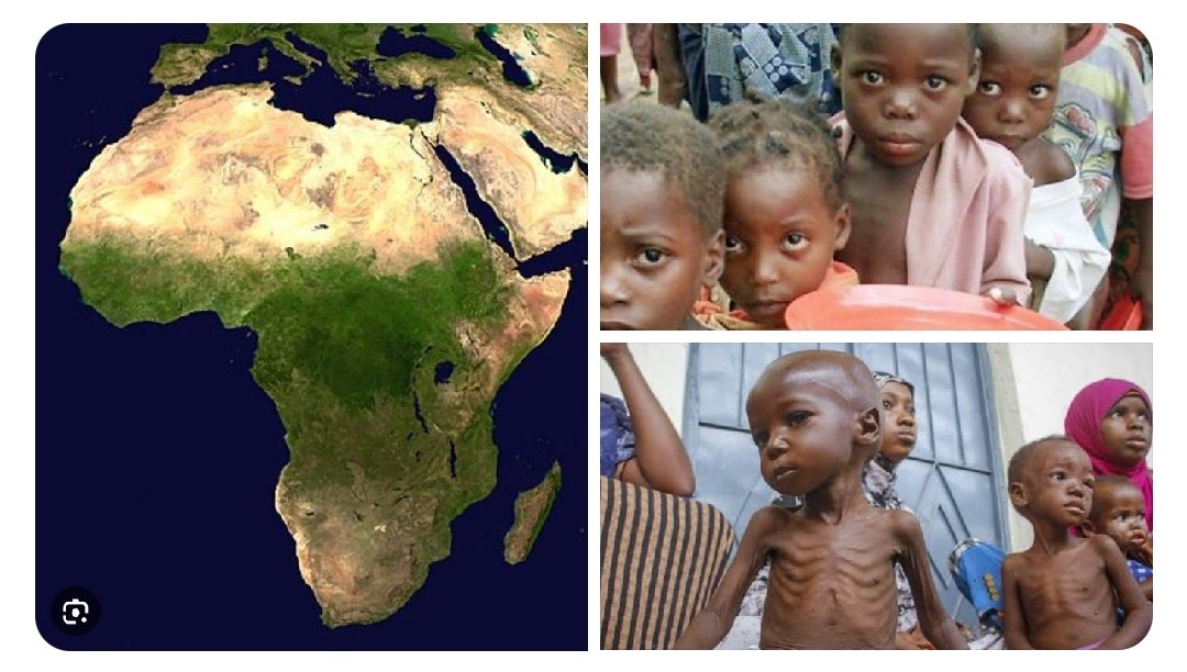 Environnement : Urgence d’action pour la sécurité alimentaire et la gestion de l’eau en Afrique face à la désertification