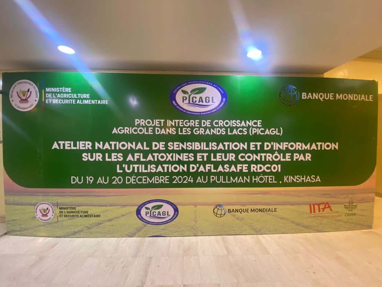 Atelier national de sensibilisation sur les Aflatoxines : Vers une lutte efficace grâce à Aflasafe RDC01