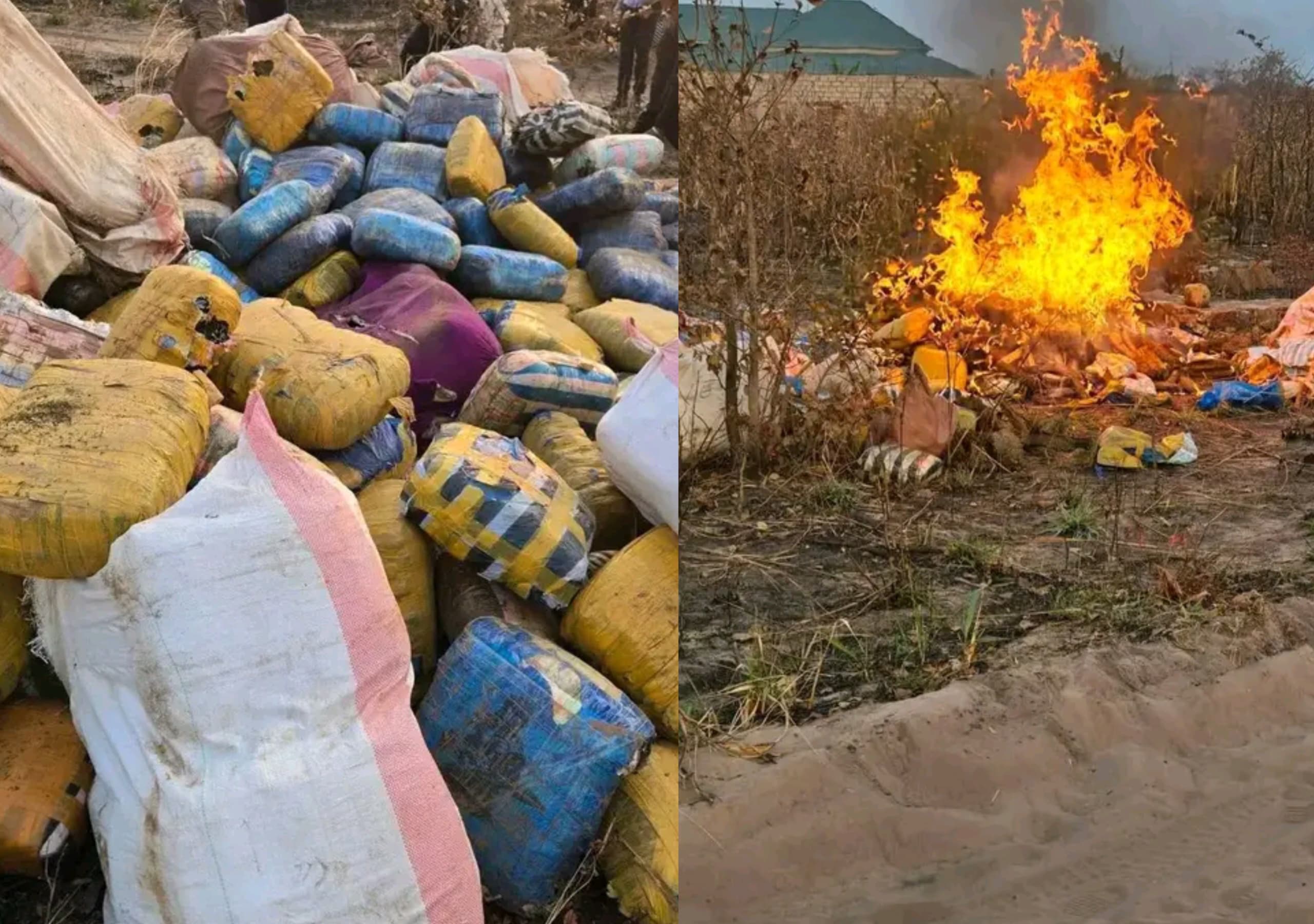Lualaba : La guerre contre le chanvre déclarée, les autorités passent à la flamme