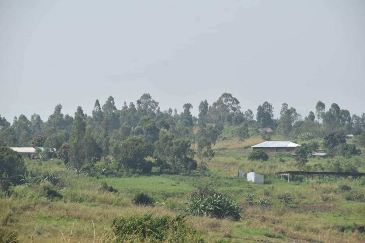 Ituri : nouvelle attaque meurtrière des ADF à Irumu, deux enfants tués à Bandikide
