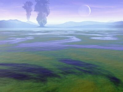 LIVRE. La vie à portée de main