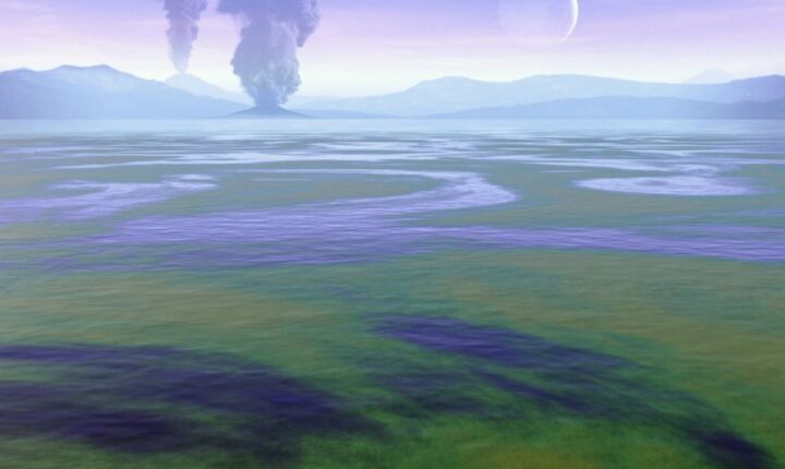 LIVRE. La vie à portée de main